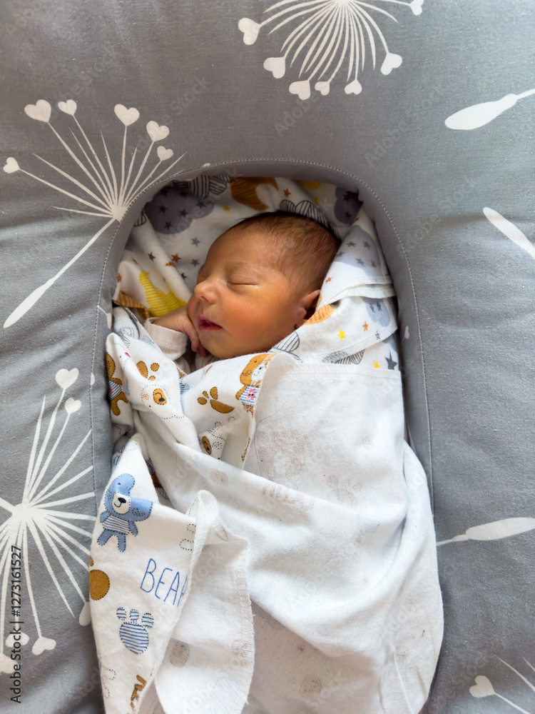 Newborn Baby Sleeping in Cozy Blanket