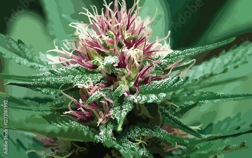 
vector image depicts a close-up, stylized illustration of a cannabis flower (bud) and its surrounding leaves.The central focus is a cannabis flower, rendered in a stylized, somewhat abstract manner. 