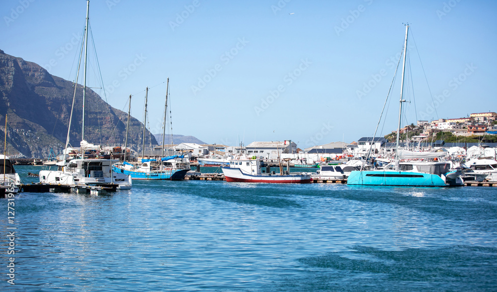 South Africa, Hout bay harbor, boats moored at the marina. blue sky, sunny day
