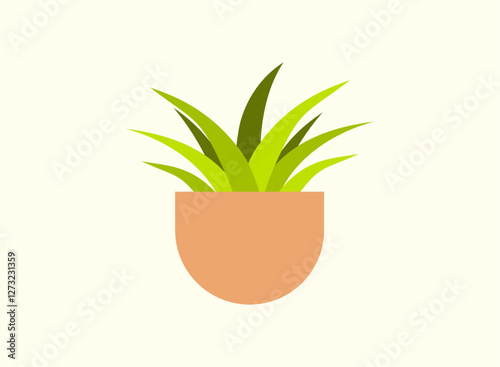 Illustration of an Potted Spider Plant