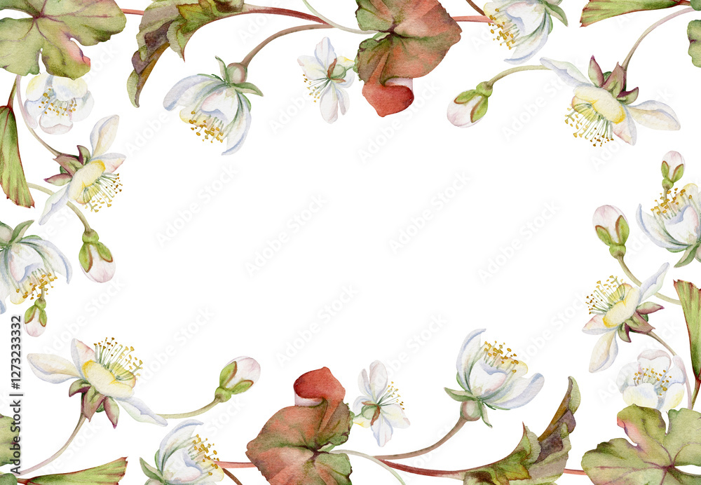 Fototapeta premium Spring flowers with leaves, white forest cloudberry apple cherry sakura anemone primrose ephemera, hand drawn in watercolor. Border frame isolated illustration, for wedding, florist shop, scrapbooking