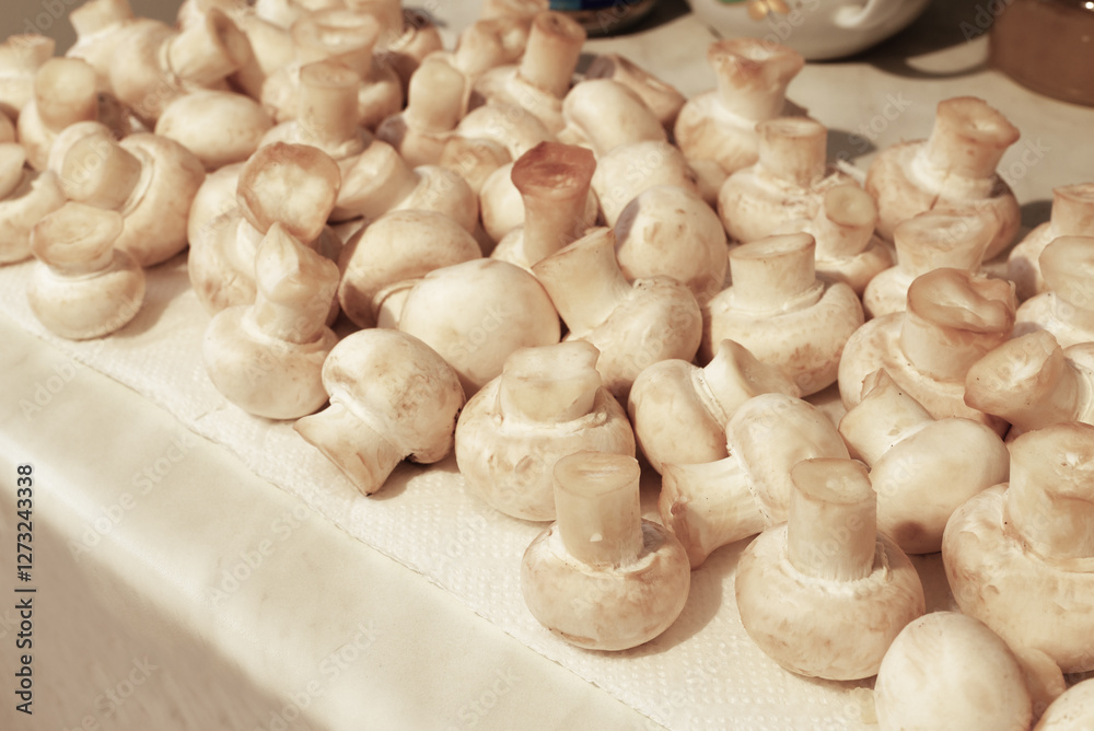 Cooking with white champignons in the kitchen. Cooking with white champignons in the kitchen.