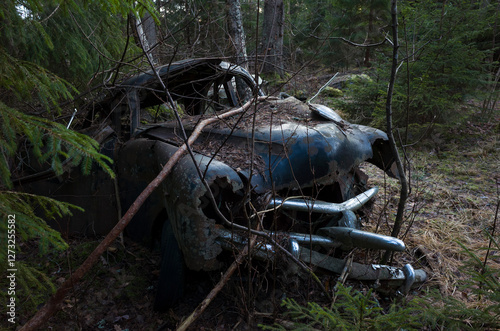 Abandoned old car in forest in Sweden photo