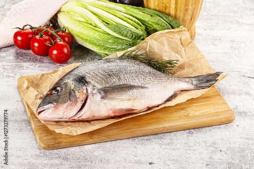 Raw dorada fish served rosemary photo