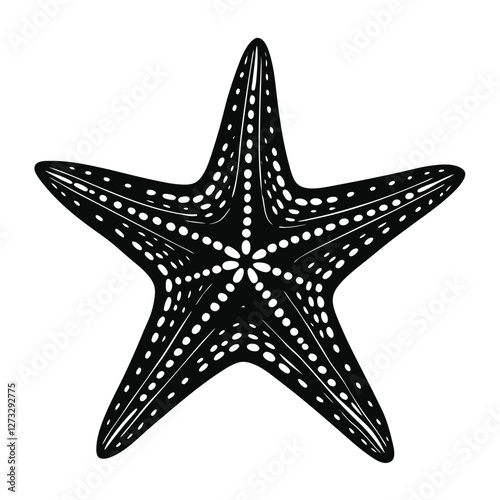 Starfish Vector Art Illustration 