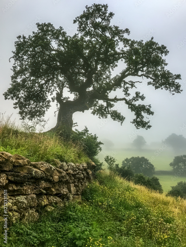 Einzelner Baum auf einem Hügel in einer Wiese, Steinmauer, Generative AI