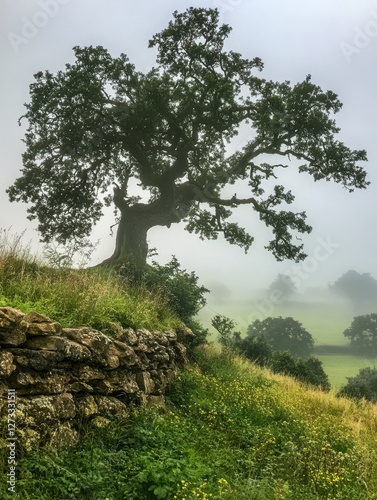 Obraz na płótnie Einzelner Baum auf einem Hügel in einer Wiese, Steinmauer, Generative AI w salonie