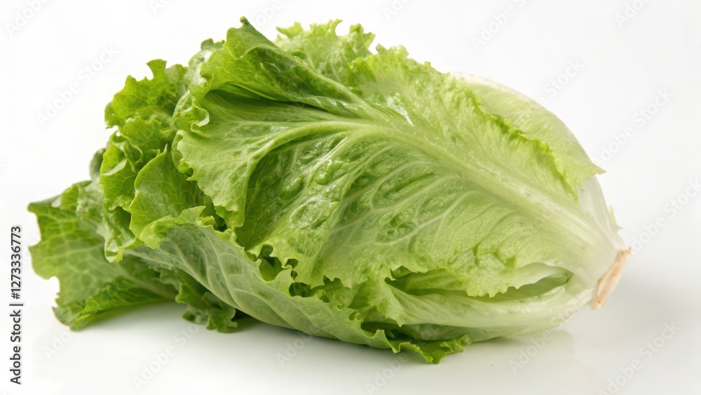 Butterhead Lettuce on White Background Butterhead Lettuce on White Background