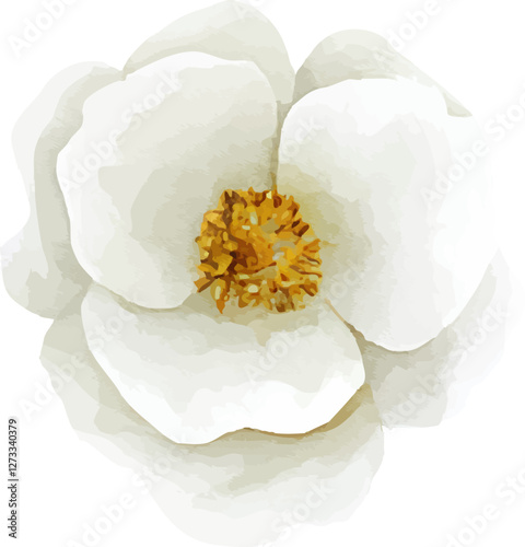 Vector Illustration of a White Flower with Golden Center, Minimalist Botanical Design