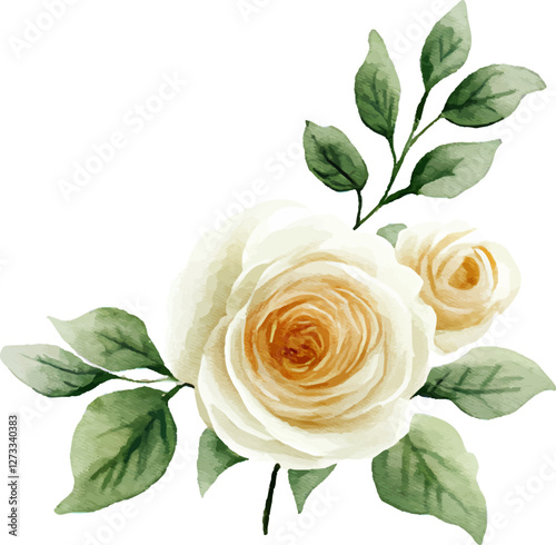 Vector Illustration of a Cream Beige Rose, Elegant Botanical Floral Design