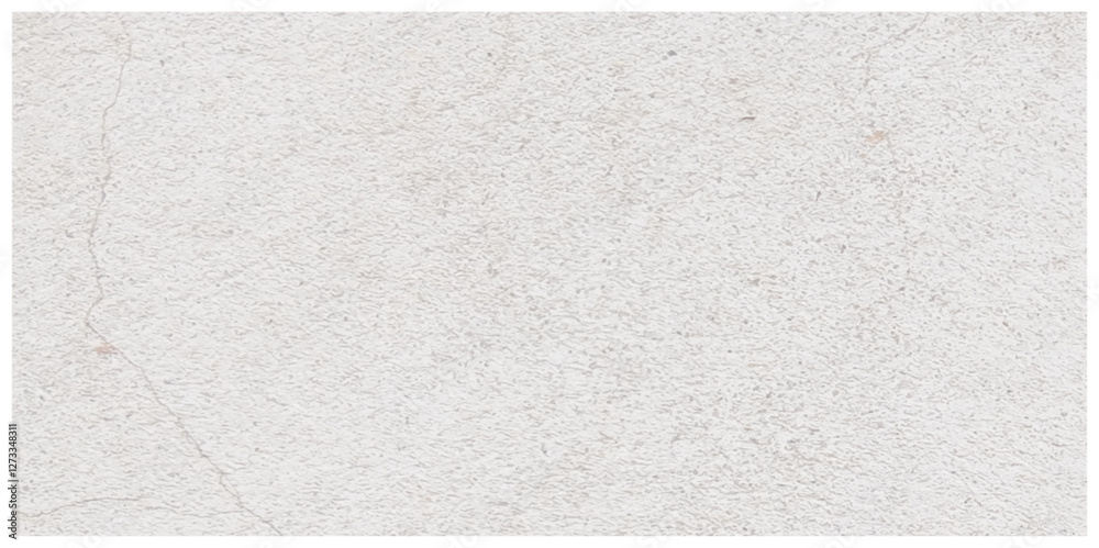 Fototapeta premium Abstract dust grunge particle and dust grain texture concrete wall grunge on white background Vector.