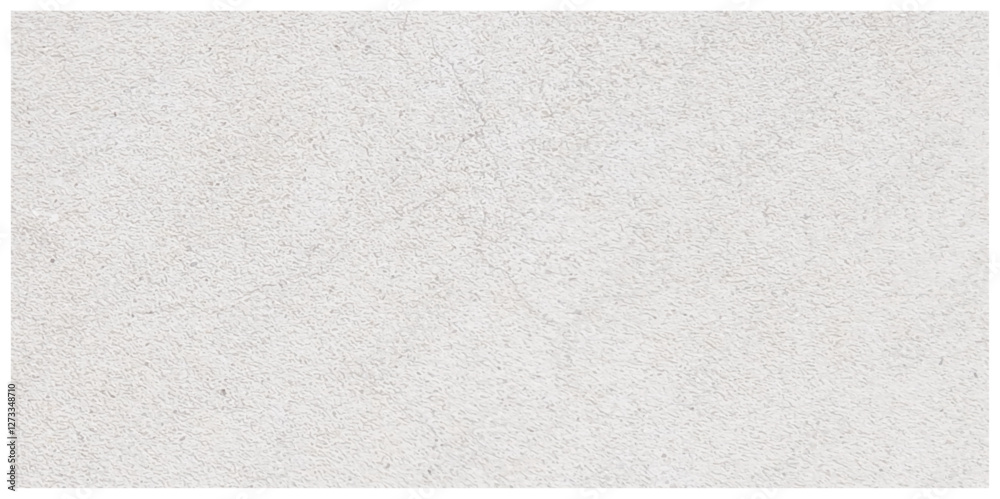 Fototapeta premium Abstract dust grunge particle and dust grain texture concrete wall grunge on white background Vector.