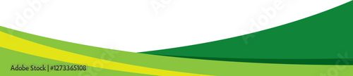 Business Curve Footer