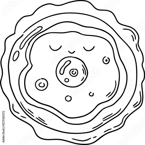 sketch Embryology fertilization