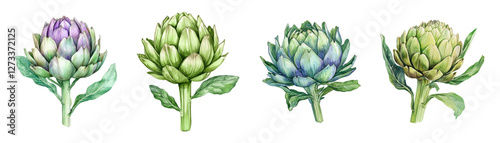 Watercolor set of green artichoke. Artichoke inflorescences for cooking. Concept of fresh vegetarian products, vegetables, etc. Ingredients for cooking restaurant food. Vector illustration.
