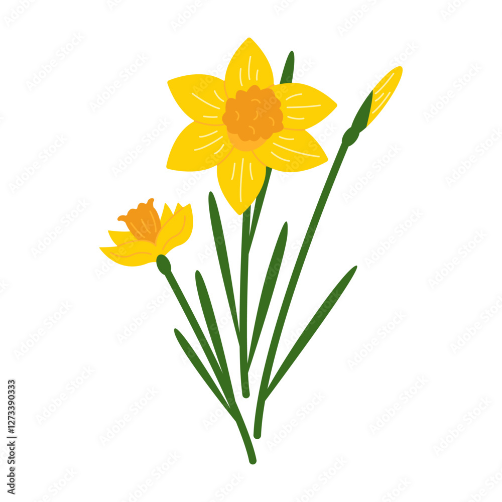 Cute daffodils. Bouquet of yellow daffodils on an isolated background. Illustration of spring flowers. Vector illustration Cute daffodils. Bouquet of yellow daffodils on an isolated background. Illustration of spring flowers. Vector illustration