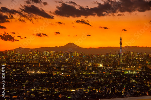 Canvas Print Dusk hour of Greater Tokyo,  Mt