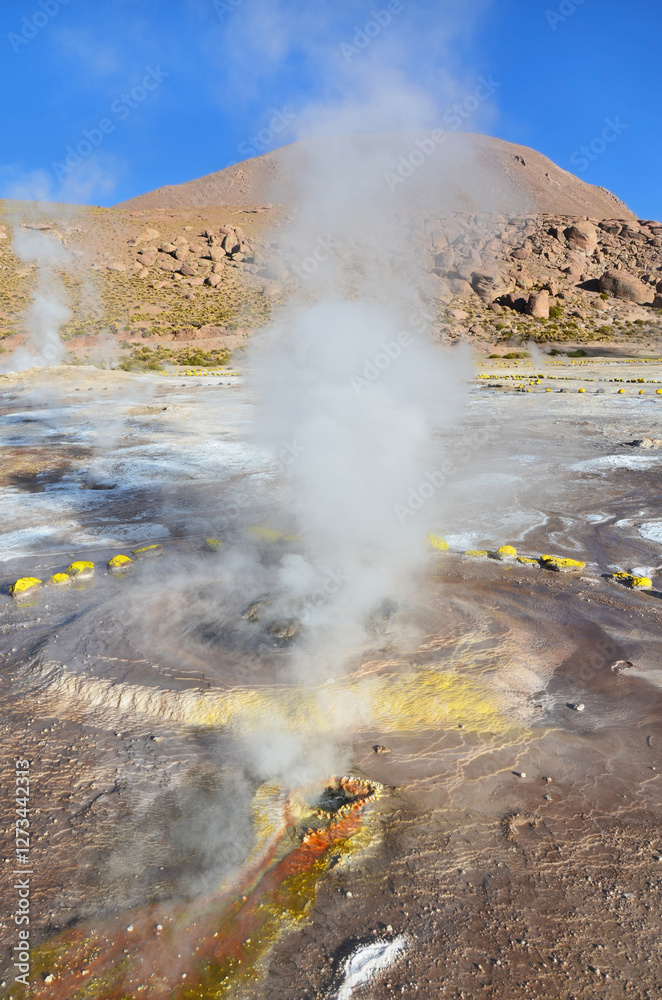 El Tatio geothermal field with many geysers located in the Andes Mountains of northern Chile