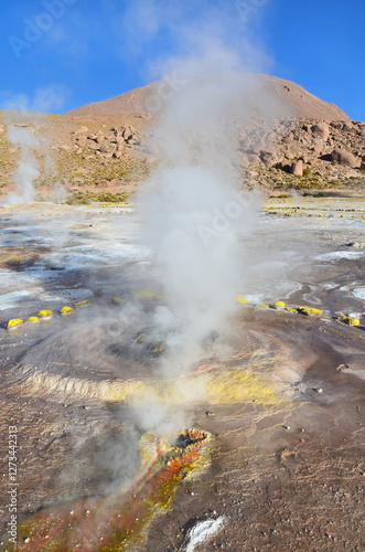 Obraz na płótnie El Tatio geothermal field with many geysers located in the Andes Mountains of northern Chile w salonie