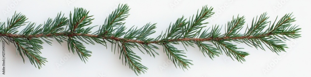 Obraz premium A single pine tree branch on a white surface, great for backgrounds or textures