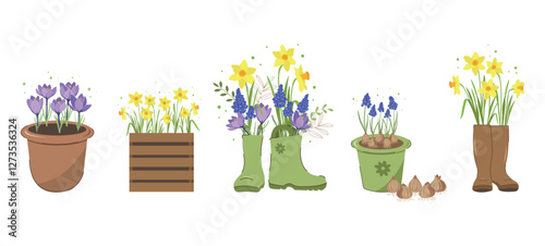 Cute illustrations of pots with spring bulb flowers. Spring primary flowers daffodils, crocuses, muscari in pots and in boots. Springtime. vector