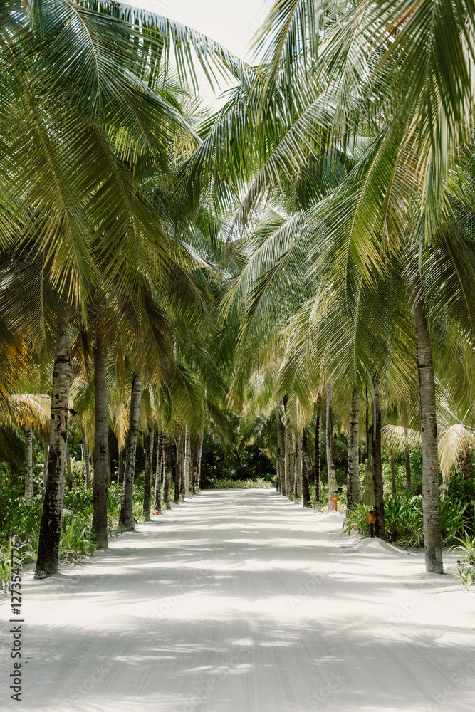 Obraz premium A scenic tropical pathway lined with lush palm trees and soft white sand, creating a peaceful and inviting atmosphere in a paradise setting in Maldives