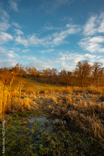 LAndscape photography on the field with sunrise from the horizon , land and beautiful clouds on the sky , orange autumn colors, beautiful landscape , trees and sunlights 