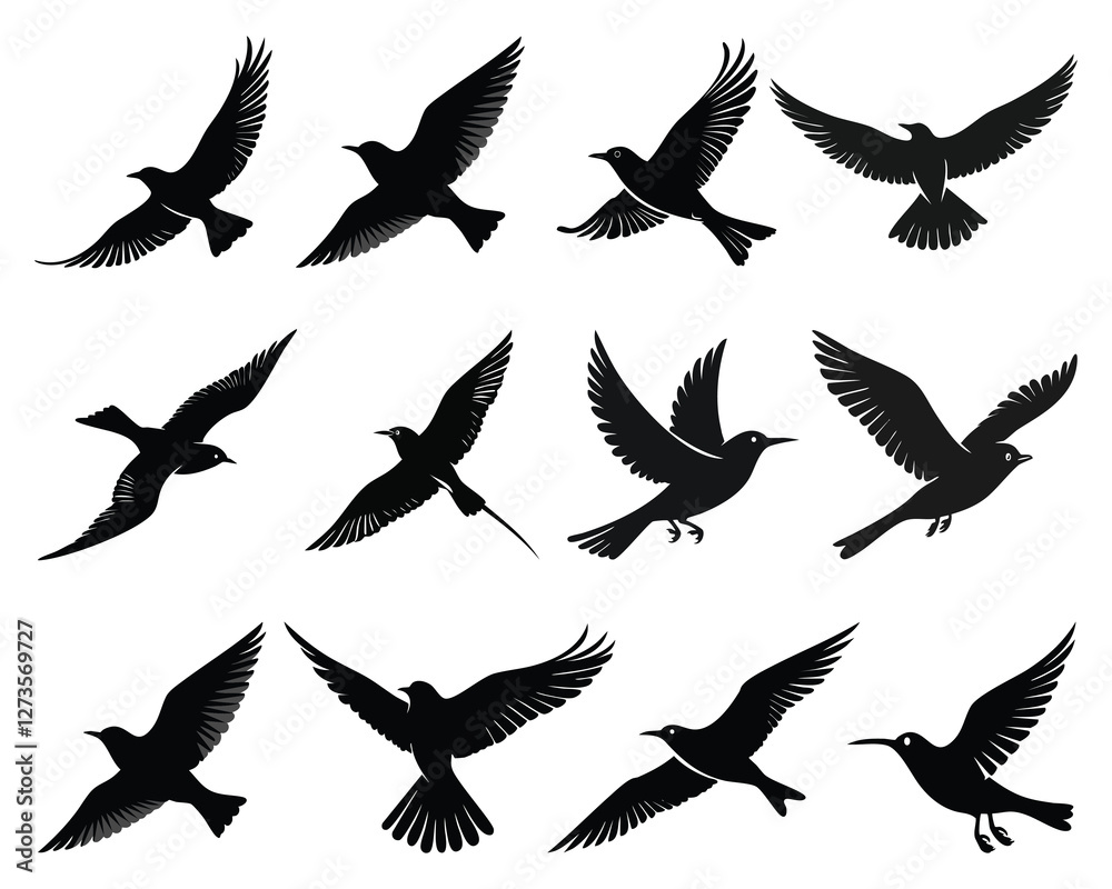 Fototapeta premium Silhouette Collection of Birds in Flight