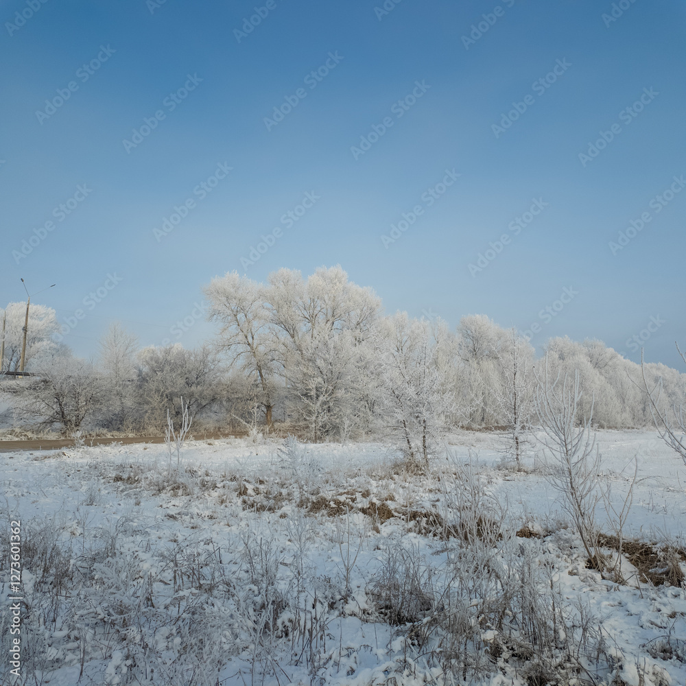 winter landscape. road in snow. tall trees in frost. natural winter landscape. forest in snow. ice on branches. snow and sun. walk in winter forest. sport in nature. seasons. symbol of time. winter landscape. road in snow. tall trees in frost. natural winter landscape. forest in snow. ice on branches. snow and sun. walk in winter forest. sport in nature. seasons. symbol of time.