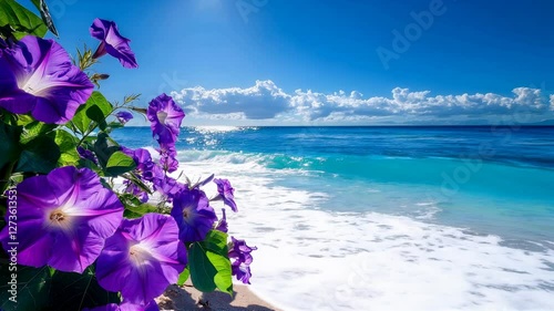 Purple Morning Glory Flowers with Gentle Sea Breeze and Serene Coastal Scenery