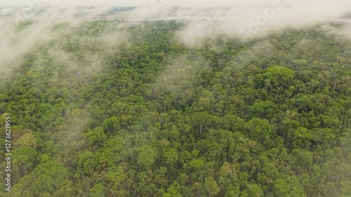 Low hanging clouds drifting over lush Amazon rainforest, revealing verdant canopy and expansive wilderness stretching toward distant horizon