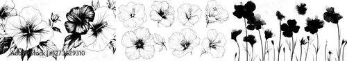 Violet flowers are illustrated in a hand drawn sketch of Modern Garden flowers