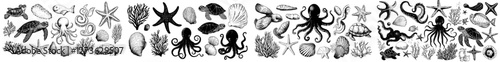A modern set of sea animals featuring seaweeds, corals, and seashells is depicted in a drawing of underwater life that includes a seahorse and turtle in line art style, along with an engraving of an