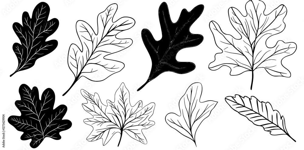 Fototapeta premium Autumn foliage illustration in hand drawn style, featuring a set of isolated oak leaves with a black outline, on a white background that is transparent