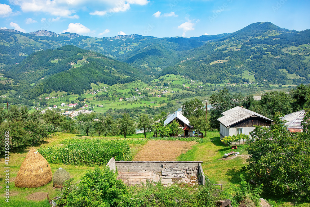 Breathtaking rural landscape showcasing vibrant fields and serene mountains in summer