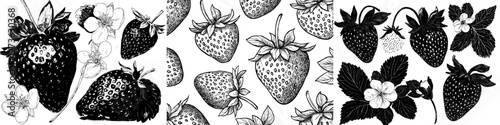 A modern set of black and white strawberry illustrations, hand drawn with ink, features leaves, berries, and flowers on a white background, ideal for label design templates