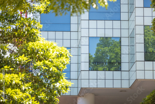 Windows of skyscraper building in the city contrasting with lush green leaves photo