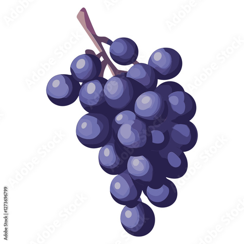 Bunch of purple grapes illustration produce fruit vector