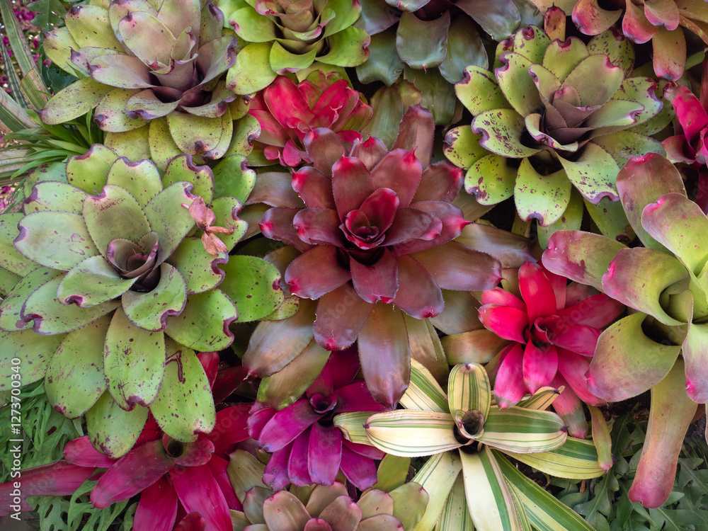 Beautiful Leaves pattern for nature Background.