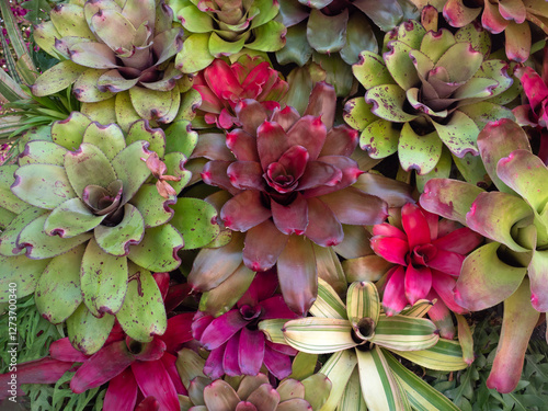 Beautiful Leaves pattern for nature Background.