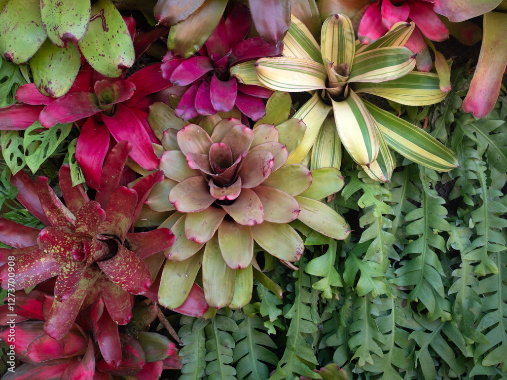 Beautiful Leaves pattern for nature Background.