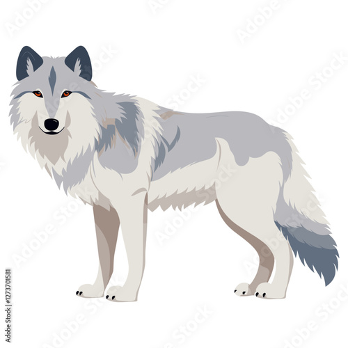 Wolf wolf illustration animal vector