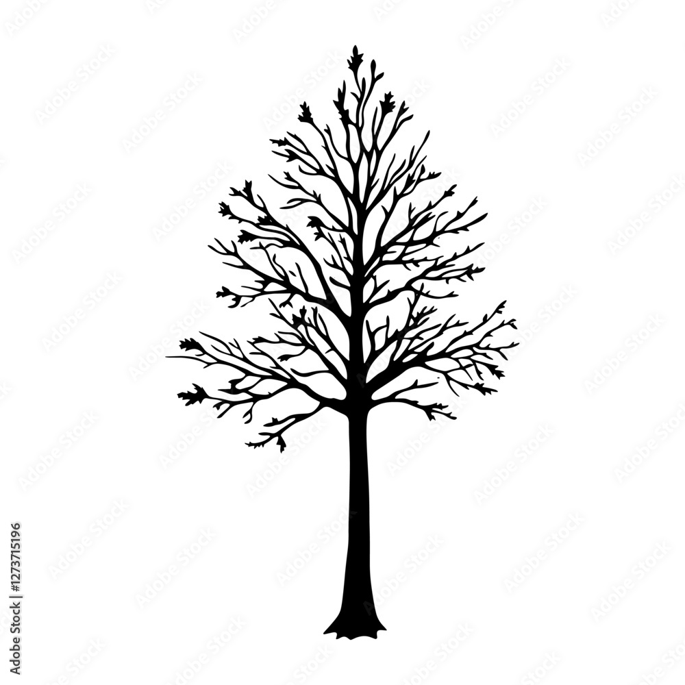 Obraz premium Maple tree silhouette illustration black vector