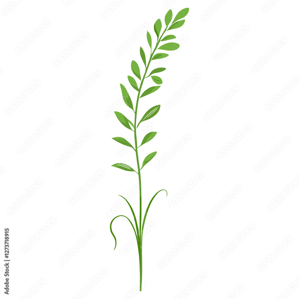 Flat vector of green grass plant leaf art vector Flat vector of green grass plant leaf art vector