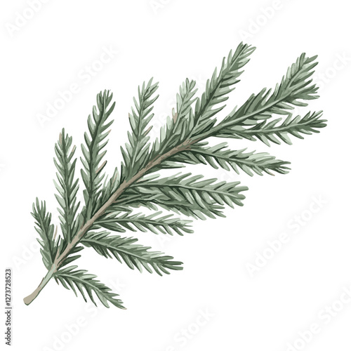 A green spruce leaf illustration art botanical vector