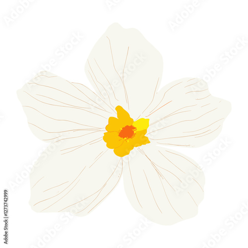 White with Yellow Center flower illustration design yellow vector
