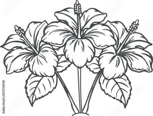 Black and white line art Silhouette   Hibiscus  flowers  vector doodle art in white background 