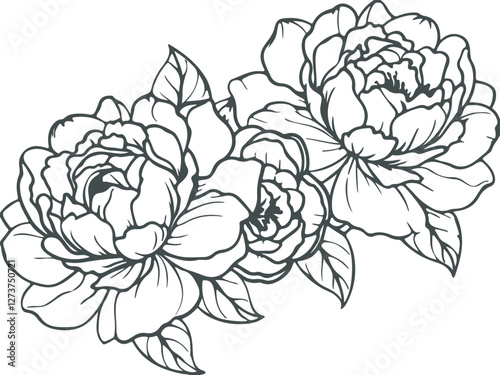 Black and white line art Silhouette  rose flowers  vector doodle art in white background