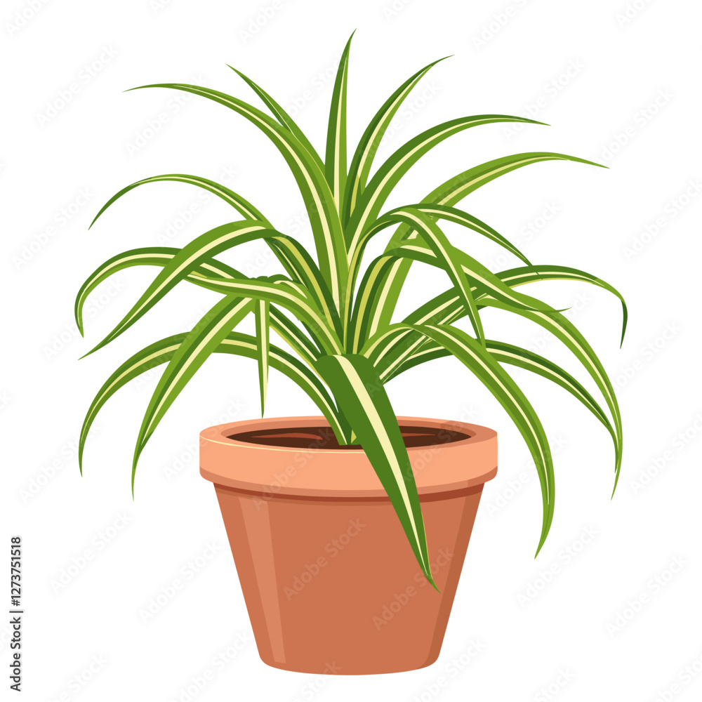 Potted plant spider plant illustration potted potted plant vector Potted plant spider plant illustration potted potted plant vector