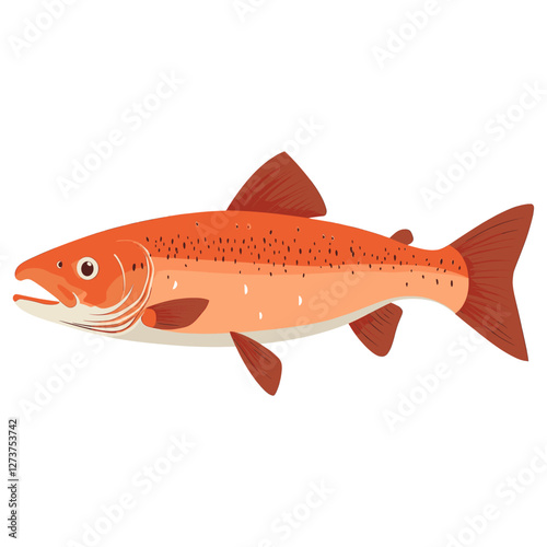 Salmon fish illustration animal vector